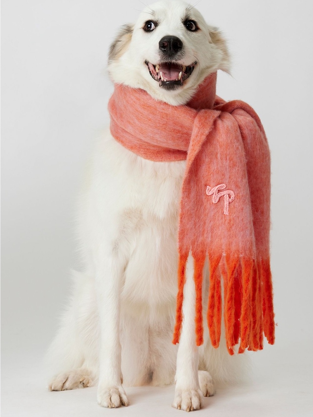 Free People Winter Chill Blanket Scarf